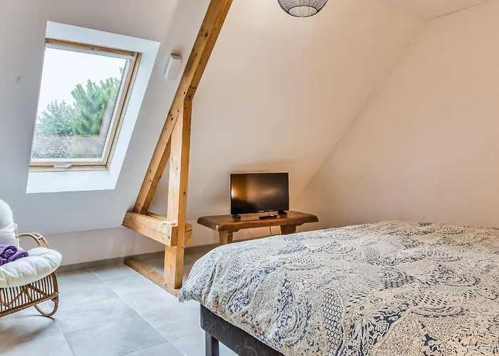 Pet Friendly In With Wifi Pirou